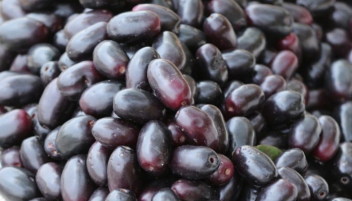 Benefits of Jamun Fruit: వేసవిలో నేరేడు తింటే స్పెర్మ్ కౌంట్ అమాంతం పెరుగుతుంది!