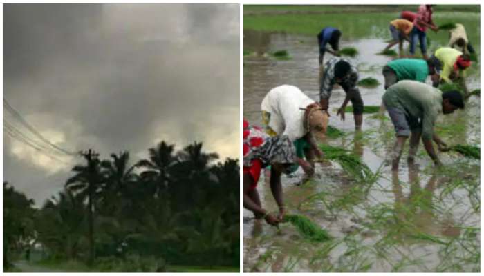 Rain Alert: తెలుగు రాష్ట్రాల్లో నైరుతి రాగం..రాగల మూడు రోజులపాటు వానలే..!