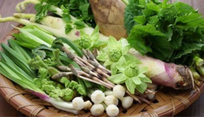  Mountain Vegetables: వీటిని తినడం వల్ల ఆ వ్యాధులు దూరమవుతాయి..!