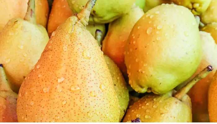 Monsoon Fruits: వర్షాకాలం సీజనల్ ఫ్రూట్స్‌లో డయాబెటిక్ రోగులు ఏం తినవచ్చు