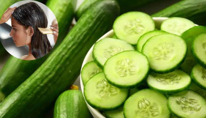 Benefits Of Cucumber For Hair: Suffer From Hair Problems Massage With Cucumber Juice | Benefits Of Cucumber For Hair: జుట్టు సమస్యలతో బాధపడుతున్నారా.. అయితే ఇది మీ కోసమే News in Telugu Benefits Of Cucumber For Hair: Suffer From Hair Problems Massage With Cucumber Juice | Benefits Of Cucumber For Hair: జుట్టు సమస్యలతో బాధపడుతున్నారా.. అయితే ఇది మీ కోసమే News in Telugu