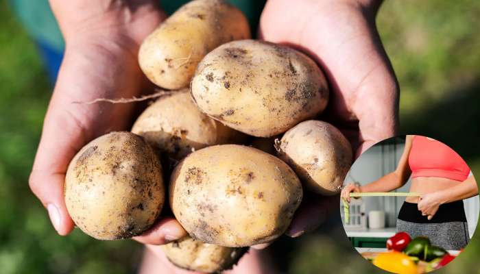 Weight loss By Potato: బంగాళదుంపతో ఇలా 10 రోజుల్లో బరువును తగ్గించుకోండి..!