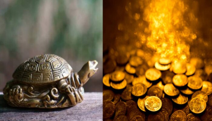 Vastu Tips for Tortoise: తాబేలు మీ ఇంట్లో ఉంటే.. ధనలక్ష్మీ మీ వెంటే..!