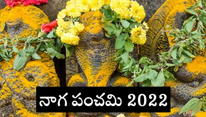 Nag panchami 2022: నాగ పంచమి ఎప్పుడు? దీని ప్రాముఖ్యత ఏంటి?