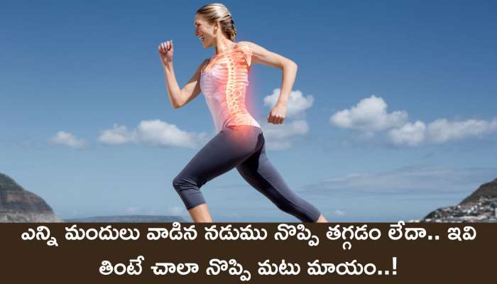 How To Strong Spine: ఎన్ని మందులు వాడిన నడుము నొప్పి తగ్గడం లేదా.. ఇవి తింటే చాలా నొప్పి మటు మాయం..!