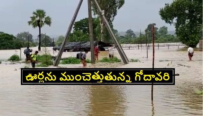 Heavy Rains in Telangana : ఉగ్రరూపం దాల్చుతున్న గోదావరి.. ఆ 4 జిల్లాల్లో హై అలర్ట్