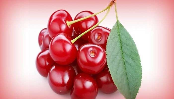 Cherry Fruit Benefits: చెర్రీ పండ్లు రోజూ తింటే..ఆరోగ్యంతో పాటు స్థూలకాయ సమస్యకు చెక్