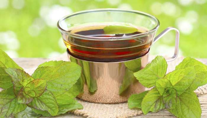 Green Tea Benefits: గ్రీన్ టీలో ఆ 4 వస్తువులు కలిపి తాగితే..కేన్సర్ కూడా దూరమే