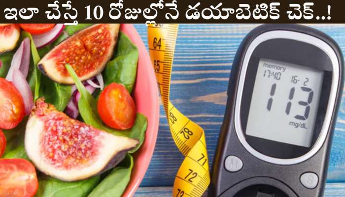 Diabetes Control Tips: ఎన్ని ఔషధాలు వాడిన మధుమేహం నియంత్రణలో ఉండడం లేదా.. ఇలా చేస్తే 10 రోజుల్లోనే డయాబెటిక్ చెక్‌..!
