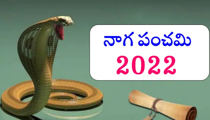 Naga Panchami 2022: ఆగస్టు 2న నాగ పంచమి.. మీ రాశి ప్రకారం మంత్రాలతో నాగదేవతను ఇలా పూజించండి!