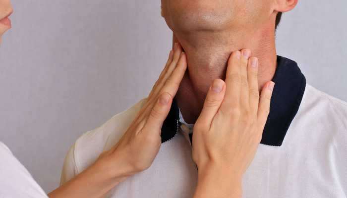 Thyroid Control Tips: థైరాయిడ్ నియంత్రణలో అద్భుతంగా పనిచేసే సూపర్ ఫుడ్స్ ఇవే