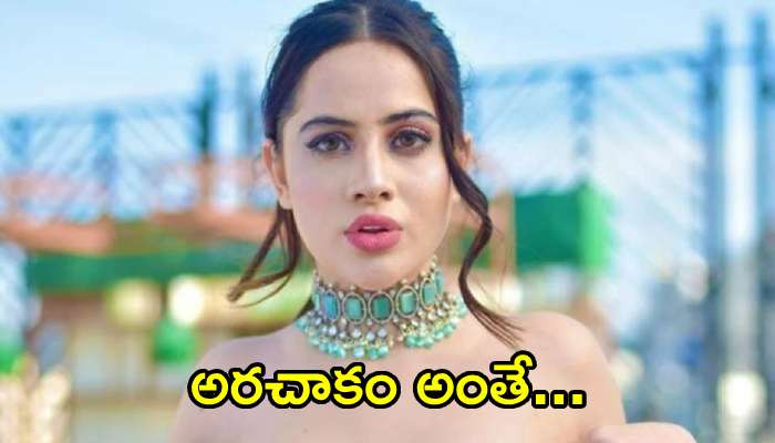 Urfi Javed Video: పార్టీలో అందరి ముందు చీర విప్పేసిన నటి.. స్నేహితులతో కలిసి రచ్చ రచ్చ!