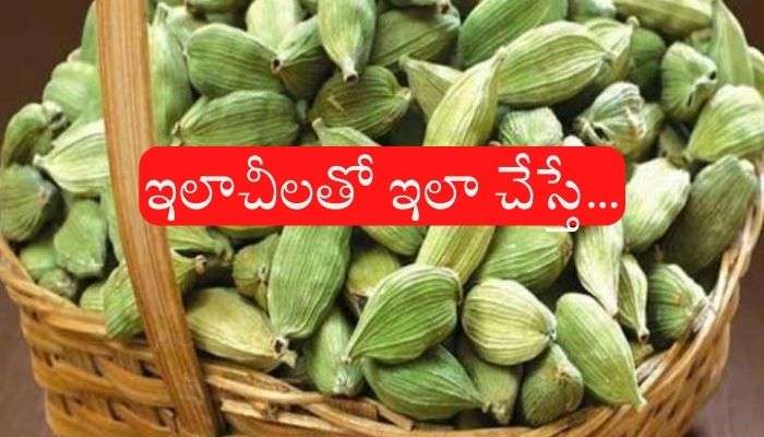 Elachi Remedies for Money:  ఇలాచీ పరిహారాలు.. ఇలా చేస్తే డబ్బే డబ్బు, మనీ కష్టాలన్నీ మాయం..