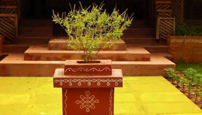 Tulsi Plant Rules: తులసి మొక్క నాటుతున్నారా.. అయితే ఈ 5 నియమాలు తప్పనిసరి..