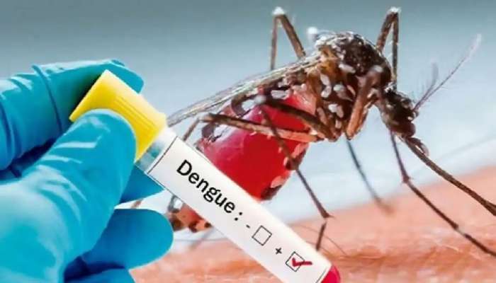 Dengue Alert: వర్షాకాలంతో పాటే డెంగ్యూ వచ్చేసింది, బీ అలర్ట్, ఏం జాగ్రత్తలు తీసుకోవాలి