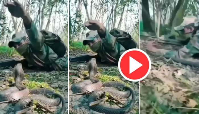 Soldier Cobra Video: సైనికుడి ముందు పడగవిప్పిన కింగ్ కోబ్రా.. ఆ తర్వాత ఏం జరిగిందో చూస్తే షాక్ అవుతారు!