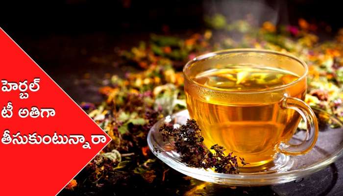 Herbal Tea: ఈ టీలను అతిగా తాగుతున్నారా.. శరీరానికి ప్రమాదమే..!