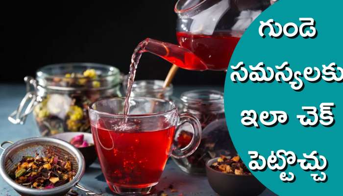 Hibiscus Tea: మందార టీ తాగితే.. గుండె సమస్యలు దూరమవుతాయా..?