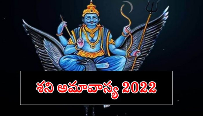 Shani Amavasya 2022: ఈ రోజు మీ రాశి ప్రకారం ఈ చిన్న పనిచేయండి.. సమస్యలకు చెక్ పెట్టండి!