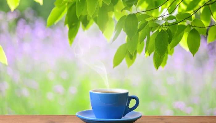 Tulsi Tea Remedies: తులసి ఆకుల టీతో ఆరోగ్య ప్రయోజనాలు, స్థూలకాయానికి చెక్