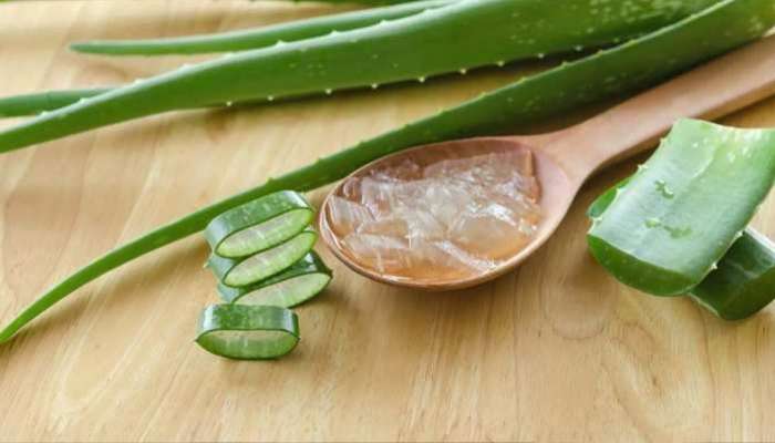 Aloevera Health Benefits: అల్లోవెరా వెనిగర్ ఏయే చికిత్సల్లో ఉపయోగిస్తారు, కలిగే లాభాలేంటి
