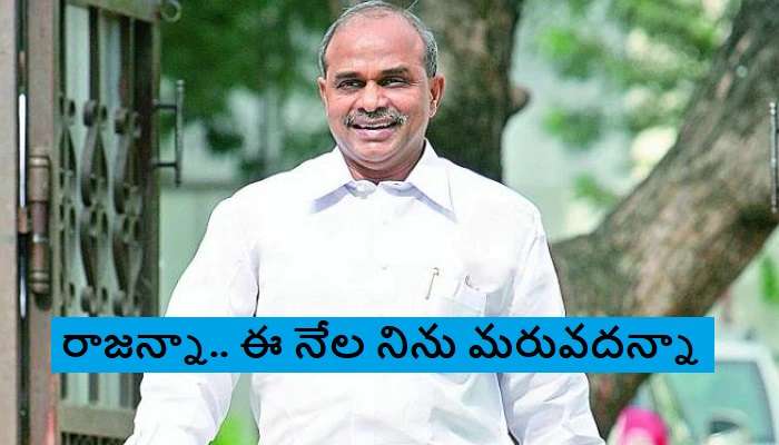 YSR Death Anniversary: వైఎస్ఆర్ వర్ధంతి.. సీనియర్ ఎన్టీఆర్ తర్వాత ఆ పని చేసింది రాజన్నే..