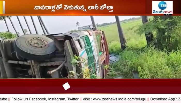 Palnadu district  accident