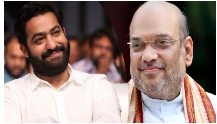 Jr Ntr: బీజేపీకి జూనియర్ ఎన్టీఆర్ ప్రచారం! ఎంపీ రఘురామ కృష్ణంరాజు సంచలనం.. 