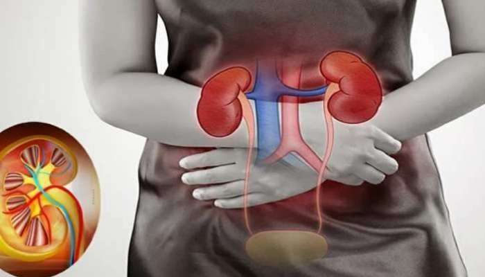 Kidney Disease Symptoms: కిడ్నీ వ్యాధుల్ని పసిగట్టే 10 ముఖ్యమైన లక్షణాలివే