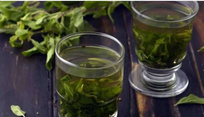 Tulsi Water Benefits: ఆ నీళ్లతో అలా చేస్తే..మధుమేహం చిటికెలో మాయం