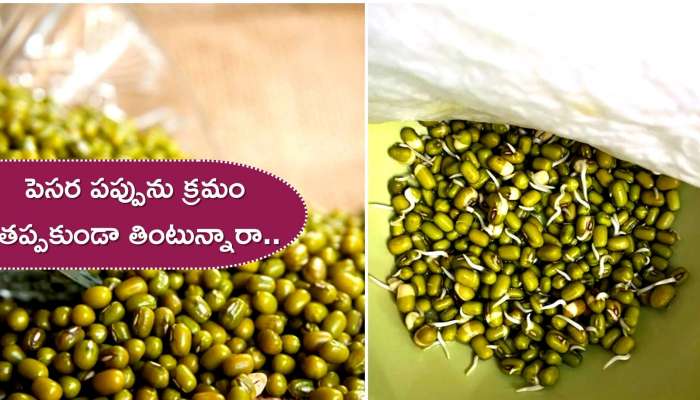 Moong Dal: పెసర పప్పు తింటే నిజంగా రక్తపోటు, మధుమేహం సమస్యలు వస్తాయా..?