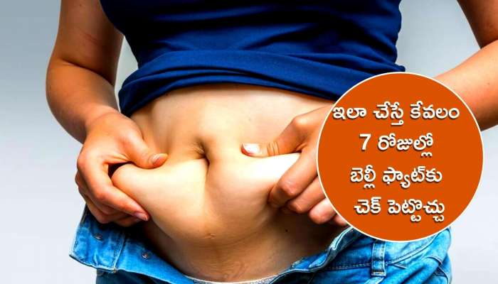 How To Reduce Belly Fat: బెల్లీ ఫ్యాట్‌ తగ్గించుకోవడానికి ఇదే సులభమైన పని.. ఇలా చేస్తే కేవలం 7 రోజుల్లో చెక్‌ పెట్టొచ్చు..