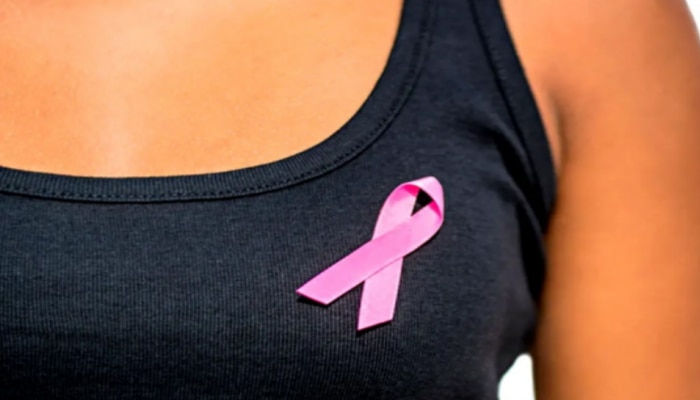 Breast Cancer: ఈ గింజను తింటే రొమ్ము క్యాన్సర్ తగ్గుతుందట..!