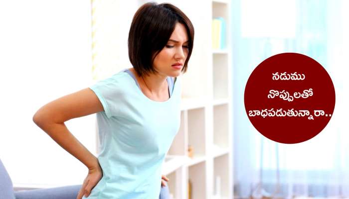 Back Pain Relief: నడుము నొప్పి రావడానికి ప్రధాన కారణాలు ఇవే.. కాబట్టి జాగ్రత్తగా ఉండడండి..