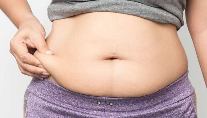 Belly Fat Reasons: బెల్లీఫ్యాట్‌ ఎందుకొస్తుంది, తాజా అధ్యయనాలు ఏం చెబుతున్నాయి.