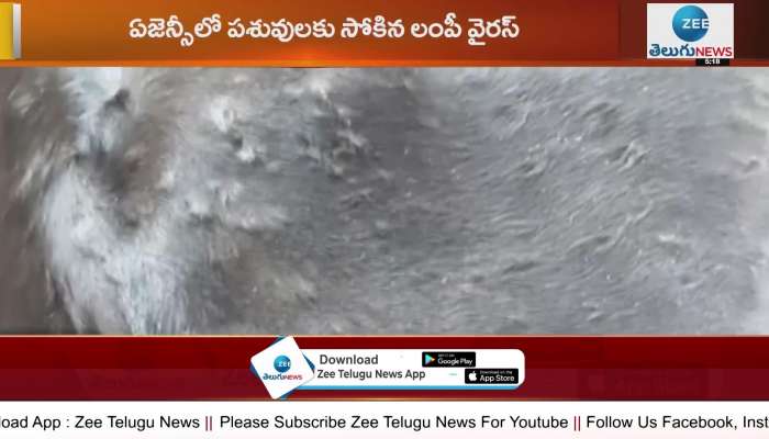 Lumpy virus entered in telangana, two cases reported