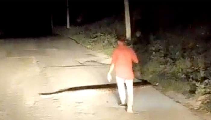 Snakes Viral Video: బాబోయ్.. అంత పెద్ద పామును ఒంటి చేత్తో.. వీడు మామూలోడు కాదు..