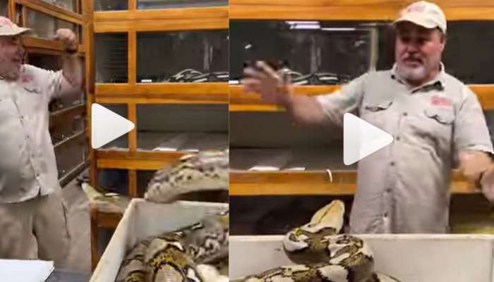 Python Man Viral Video: Big Python trying to bite man, Today Google ...