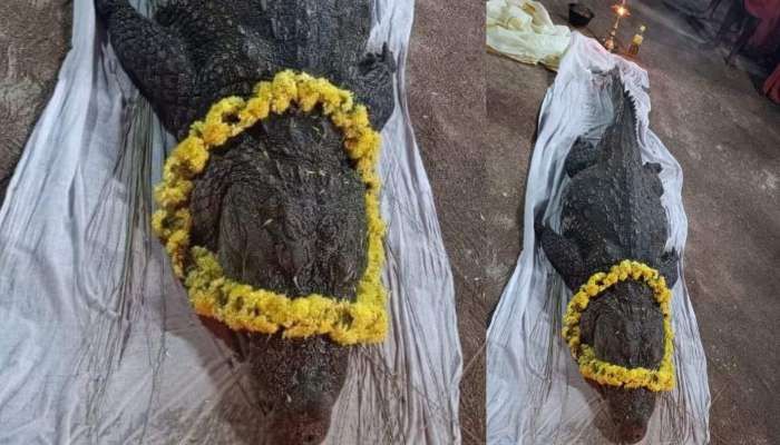 Crocodile Babiya Dead: అనంతపద్మనాభ స్వామి కోనేరు మొసలి మృతి.. నివాళులర్పించేందుకు తరలివచ్చిన జనం!