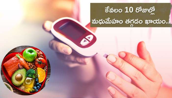 Diet Chart For Diabetes: మధుమేహం ఉన్నవారు ఈ ఆహారాలను తీసుకుంటే.. కేవలం 10 రోజుల్లో తగ్గడం ఖాయం..