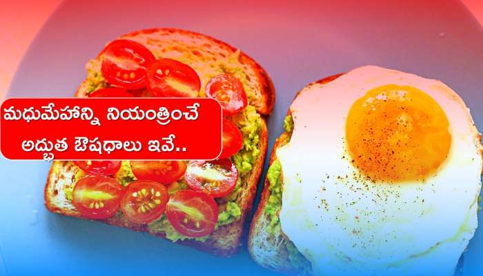 Breakfast For Diabetes: మధుమేహాన్ని నియంత్రించే అద్భుత ఔషధాలు ఇవే.. వీటితో అన్ని సమస్యలకు చెక్‌ పెట్టొచ్చు..