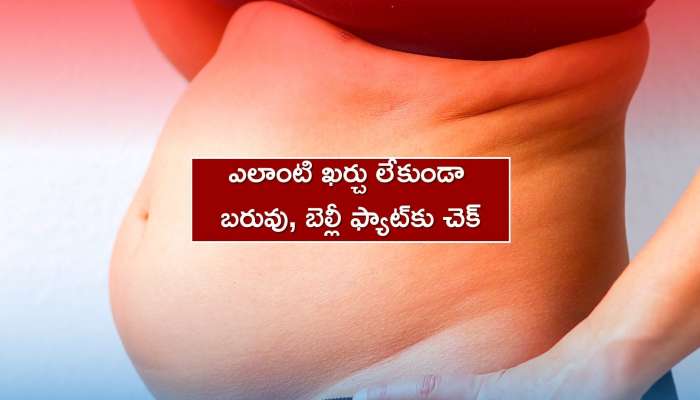 Stomach Fat Remove: బరువు, బెల్లీ ఫ్యాట్‌కు ఎStomach Fat Remove: అధిక బరువు, బెల్లీ ఫ్యాట్‌కు ఎలాంటి ఖర్చు లేకుండా 5 రోజుల్లో బై బై చెప్పండి