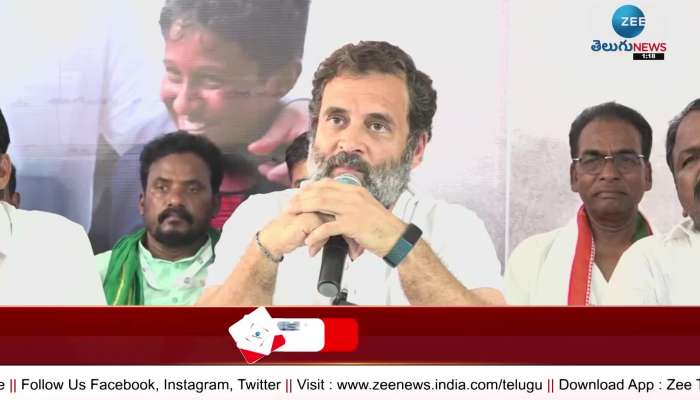 President is supreme in Congress party Says Rahul Gandhi