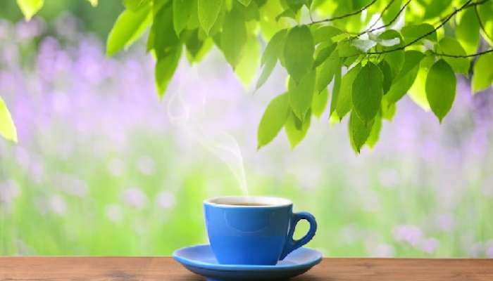 Tea Side Effects: టీ తాగడం వల్ల కలిగే 5 ప్రధాన సమస్యలు ఇవే