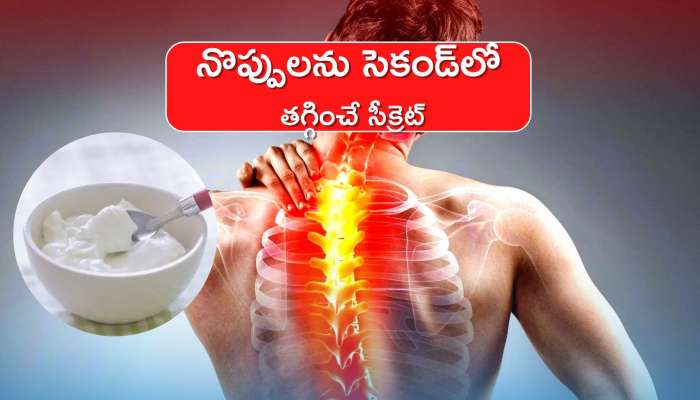 Natural Pain Killer: అన్ని రకాల నొప్పులను సెకండ్‌లో తగ్గించే సీక్రెట్..!