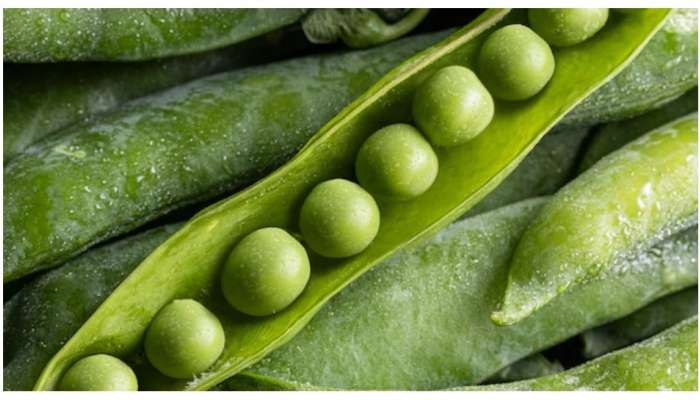Pea Benefits: మటర్‌తో కలిగే ప్రయోజనాలు తెలిస్తే..ఇక వదిలిపెట్టరు