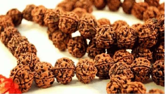 Rudraksha Benefits: రుద్రాక్ష ప్రయోజనాలేంటి, ఎవరు ఏ రుద్రాక్షను ధరించాలి