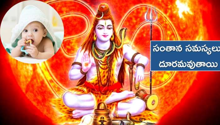 Karthika Masam 2022: కార్తీకమాసంలో ఈ శివాలయాలను సందర్శిస్తే.. సంతాన సమస్యలు దూరమవుతాయి..