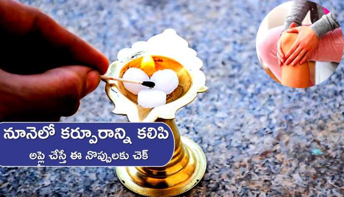  Camphor For Arthritis Pain: కర్పూరంతో నడుము నొప్పి, వెన్ను నొప్పులకు కేవలం 15 రోజుల్లో చెక్‌ పెచ్చొచ్చు.. 