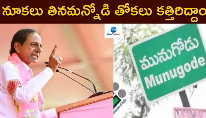  CM KCR SPEECH : నూకలు తినమన్నోడి తోకలు కత్తిరిద్దాం.. మునుగోడు సభలో బీజేపీపై కేసీఆర్ విశ్వరూపం 